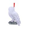Harry Potter Hedwig's Rest Hanging Ornament 9cm Fantasy Christmas Product Guide