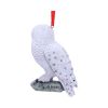 Harry Potter Hedwig's Rest Hanging Ornament 9cm Fantasy Back in Stock