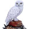 Harry Potter Hedwig Figurine 22cm Fantasy Back in Stock