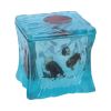 Dungeons & Dragons Gelatinous Cube Dice Box 11.5cm Gaming Licensed Gaming