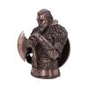 Assassin's Creed Valhalla Eivor Bust (Bronze) 31cm Gaming April Flash Sale Day 5