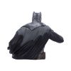 Batman: There Will be Blood Bust 30cm Comic Characters April Flash Sale Day 5