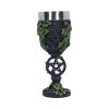 Aged Pentagram Goblet 19.5cm Witchcraft & Wiccan Gifts Under £100