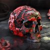 Age of Opium 18.5cm Skulls Top 200 None Licensed
