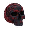 Age of Opium 18.5cm Skulls Top 200 None Licensed