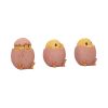 Three Wise Chicks 6.7cm Animals Last Chance to Buy
