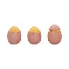 Three Wise Chicks 6.7cm Animals Last Chance to Buy