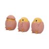 Three Wise Chicks 6.7cm Animals Last Chance to Buy