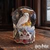 Harry Potter Hogsmeade Village Snow Globe Fantasy Stock Arrivals