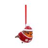 Robin Winter Warmth Hanging Ornament Animals Coming Soon
