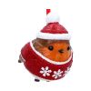 Robin Winter Warmth Hanging Ornament Animals Coming Soon