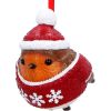 Robin Winter Warmth Hanging Ornament Animals Coming Soon