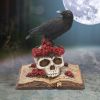 Heartaches Reflection 17cm Ravens Stock Arrivals
