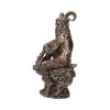 Pan (Large) 30.5cm Witchcraft & Wiccan Gifts Under £100