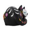 Sleepy Sugar 22cm Cats Gifts Under £100