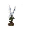 Sapiens. 56cm Dragons Stock Arrivals