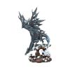 Dragons Wisdom. 47cm Dragons Stock Arrivals