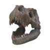 Tyrannosaurus Rex Skull Freestanding 16cm Dinosaurs Out Of Stock