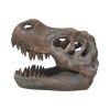 Tyrannosaurus Rex Skull Freestanding 16cm Dinosaurs Out Of Stock