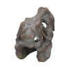 Tyrannosaurus Rex Skull Freestanding 16cm Dinosaurs Out Of Stock