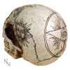 Spirits 20cm Skulls Stock Arrivals