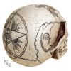Spirits 20cm Skulls Stock Arrivals
