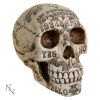 Spirits 20cm Skulls Stock Arrivals
