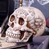 Spirits 20cm Skulls Stock Arrivals
