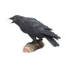 Raven's Call 20cm Ravens Gifts Under £100