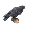 Raven's Call 20cm Ravens Gifts Under £100