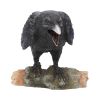 Raven's Call 20cm Ravens Gifts Under £100