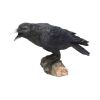 Raven's Call 20cm Ravens Gifts Under £100