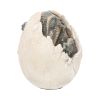 Wyrmlings First Light 12cm Dinosaurs Gifts Under £100