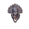 Triceratops Head 23cm Dinosaurs Best Sellers