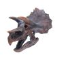 Triceratops Head 23cm Dinosaurs Best Sellers