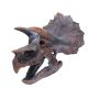 Triceratops Head 23cm Dinosaurs Out Of Stock