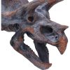 Triceratops Head 23cm Dinosaurs Best Sellers