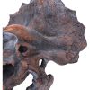 Triceratops Head 23cm Dinosaurs Best Sellers
