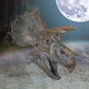 Triceratops Head 23cm Dinosaurs Best Sellers