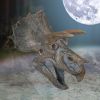 Triceratops Head 23cm Dinosaurs Out Of Stock