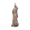 Merlin Bronze 47cm (Large) History and Mythology RRP Under 150