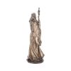 Merlin Bronze 47cm (Large) History and Mythology RRP Under 150