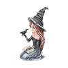 Regan 15cm Witches Statues Medium (15cm to 30cm)