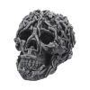 Hell's Desire 18cm Skulls Gifts Under £100