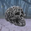 Hell's Desire 18cm Skulls Gifts Under £100