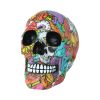 Calypso 19cm Skulls Stock Arrivals