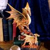 Adult Desert Dragon (AS) 24.5cm Dragons Back in Stock