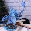 Adult Water Dragon (AS) 31cm Dragons Back in Stock