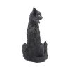 Salem 32.5cm Cats Every Day Is Halloween