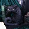 Spite 25.5cm Cats Stock Arrivals